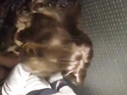 Naughty couple sex in public bathroom