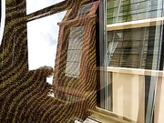 Fucking amateur BBW in hotel room