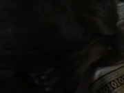 Blowing cock under the table