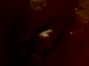 Nice sex blowjob and close up pussy teasing